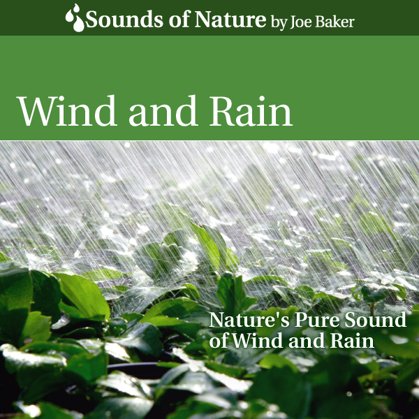 Nature Sounds by Joe Baker - Wind and Rain